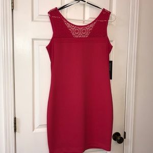 NWT Dress (8)
